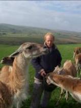 Roy feeding guanaco